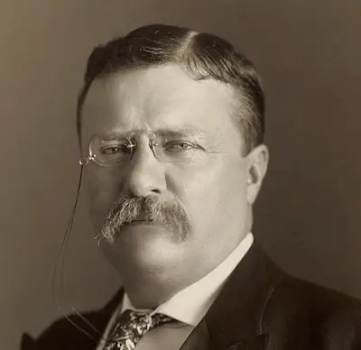 Portrait of Theodore Roosevelt